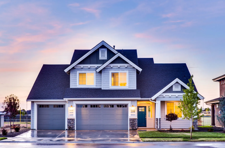 Mold Consulting