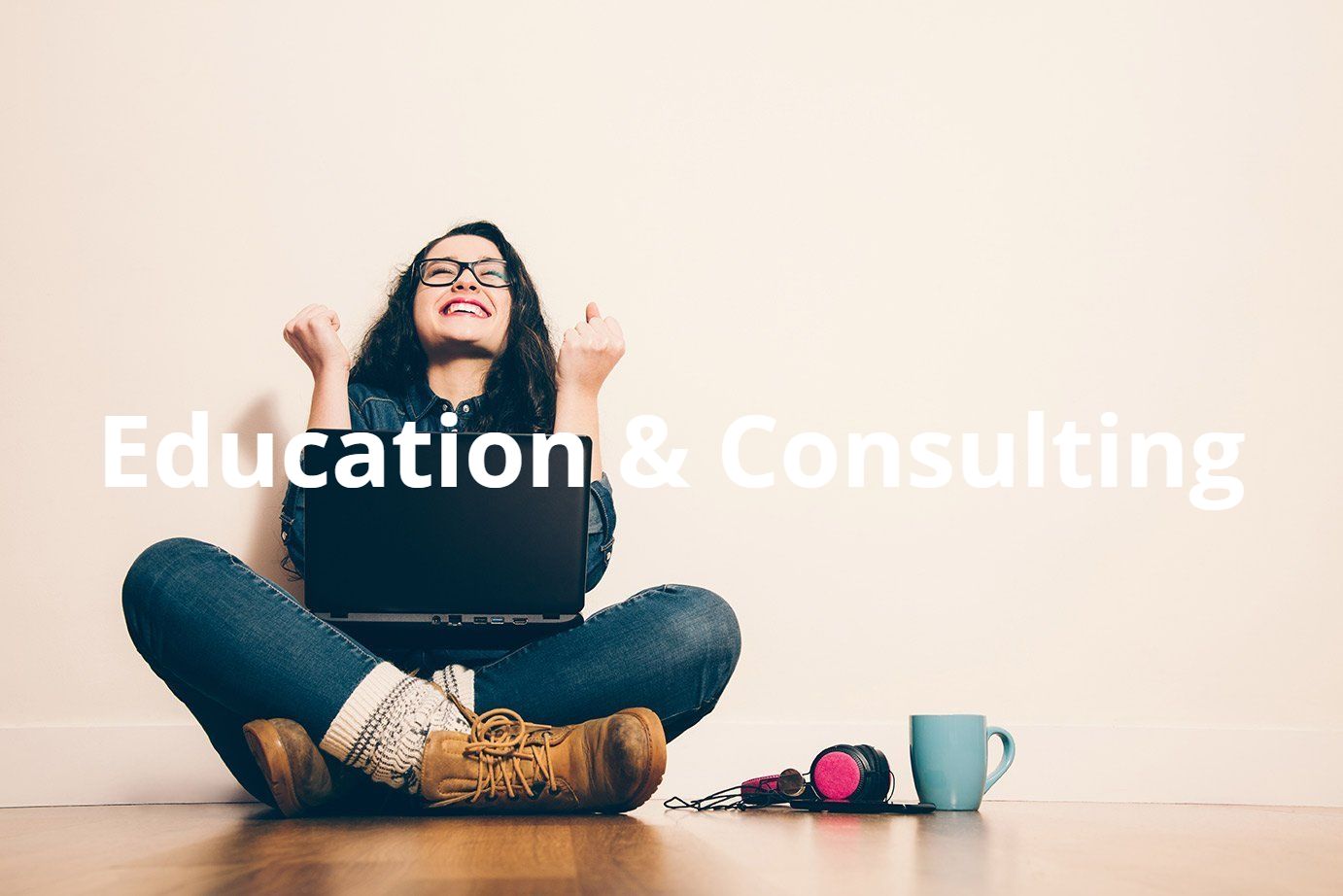 Mold consulting