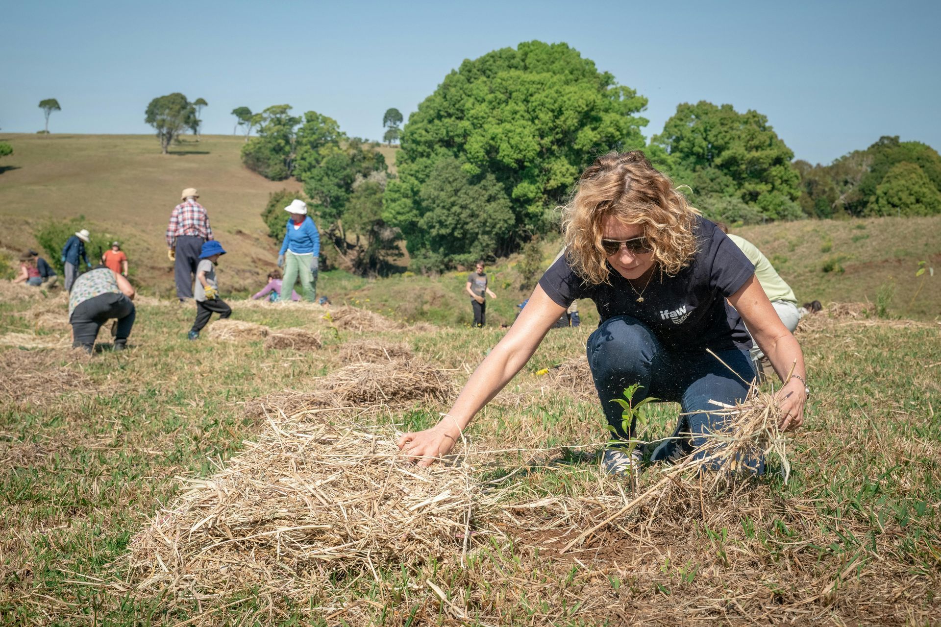 A person cleaning up a community