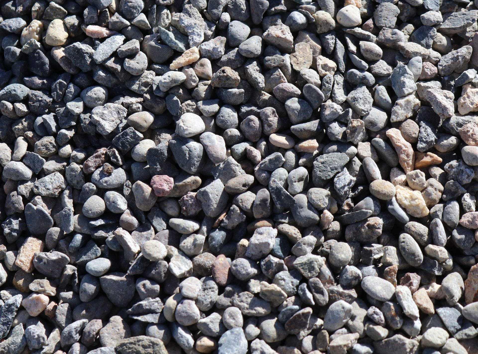 Pea Gravel close up