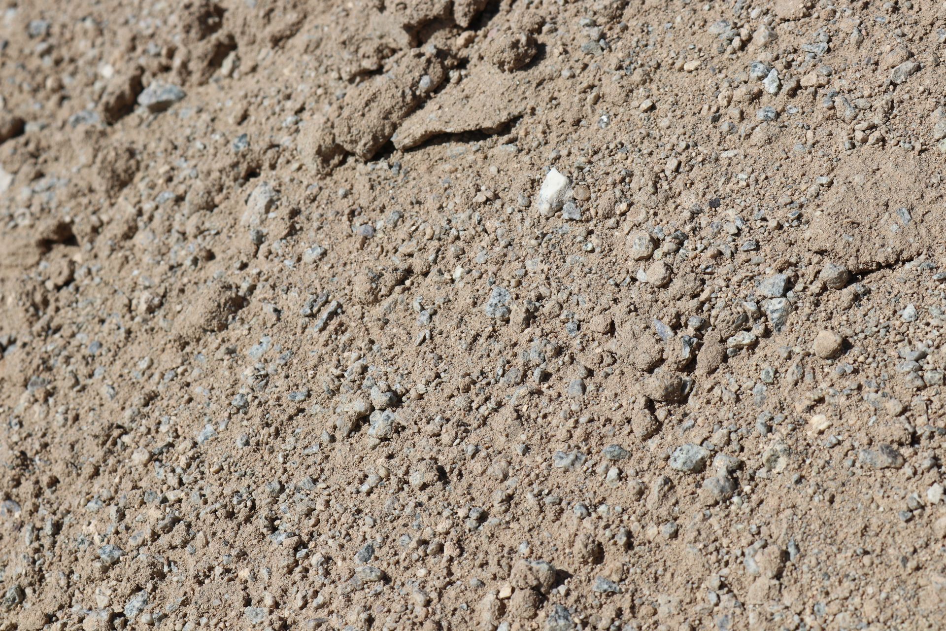Screened Sand