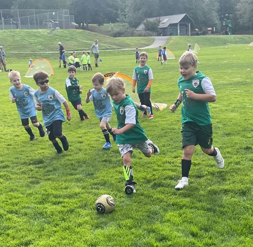 Children playing soccer on a grassy field, with two boys in green jerseys chasing the ball.
