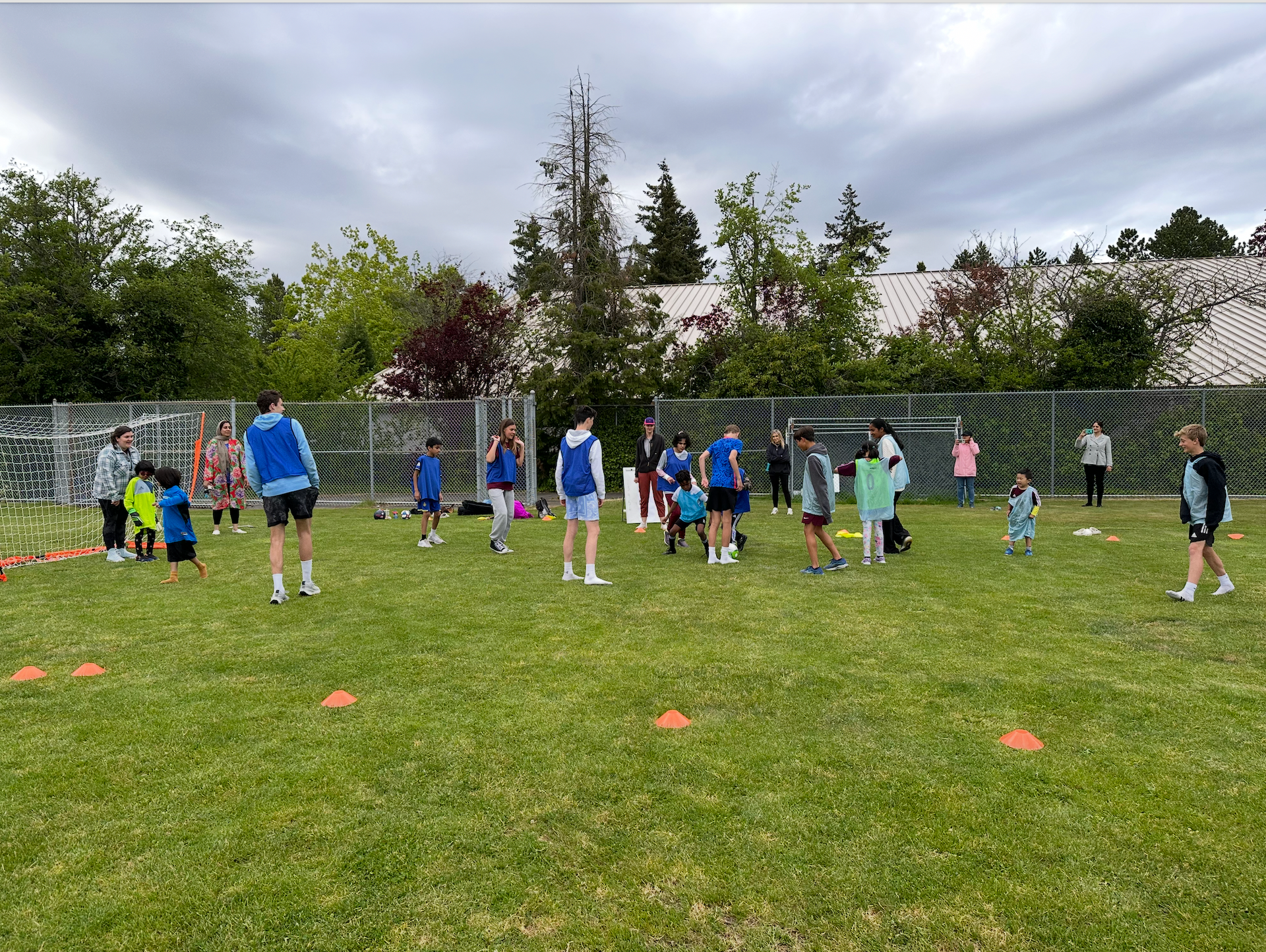 Children practicing soccer drills on a grassy field with orange cones and a coach near a goal.
