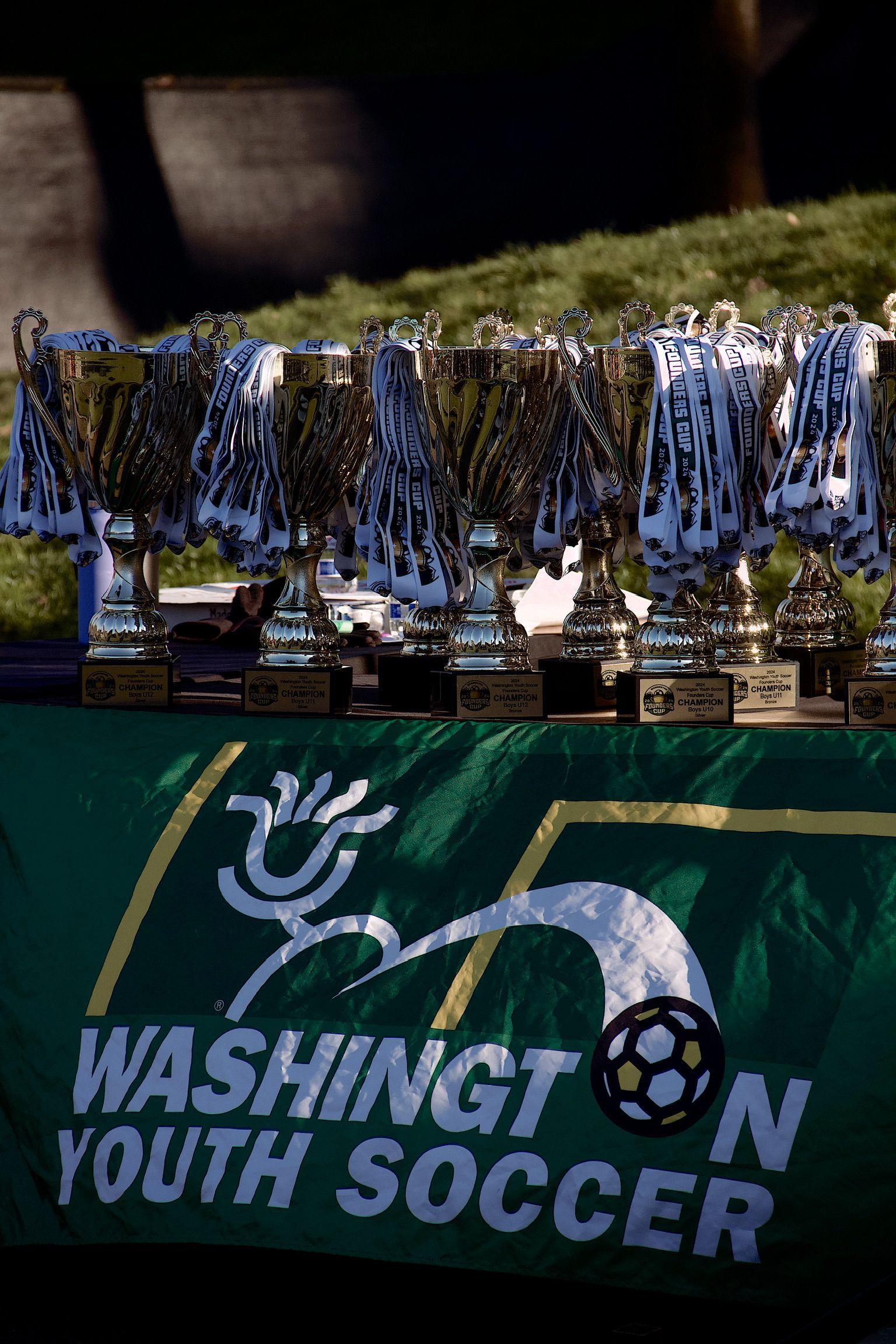 Washington Youth Soccer banner with rows of silver medals hanging above it