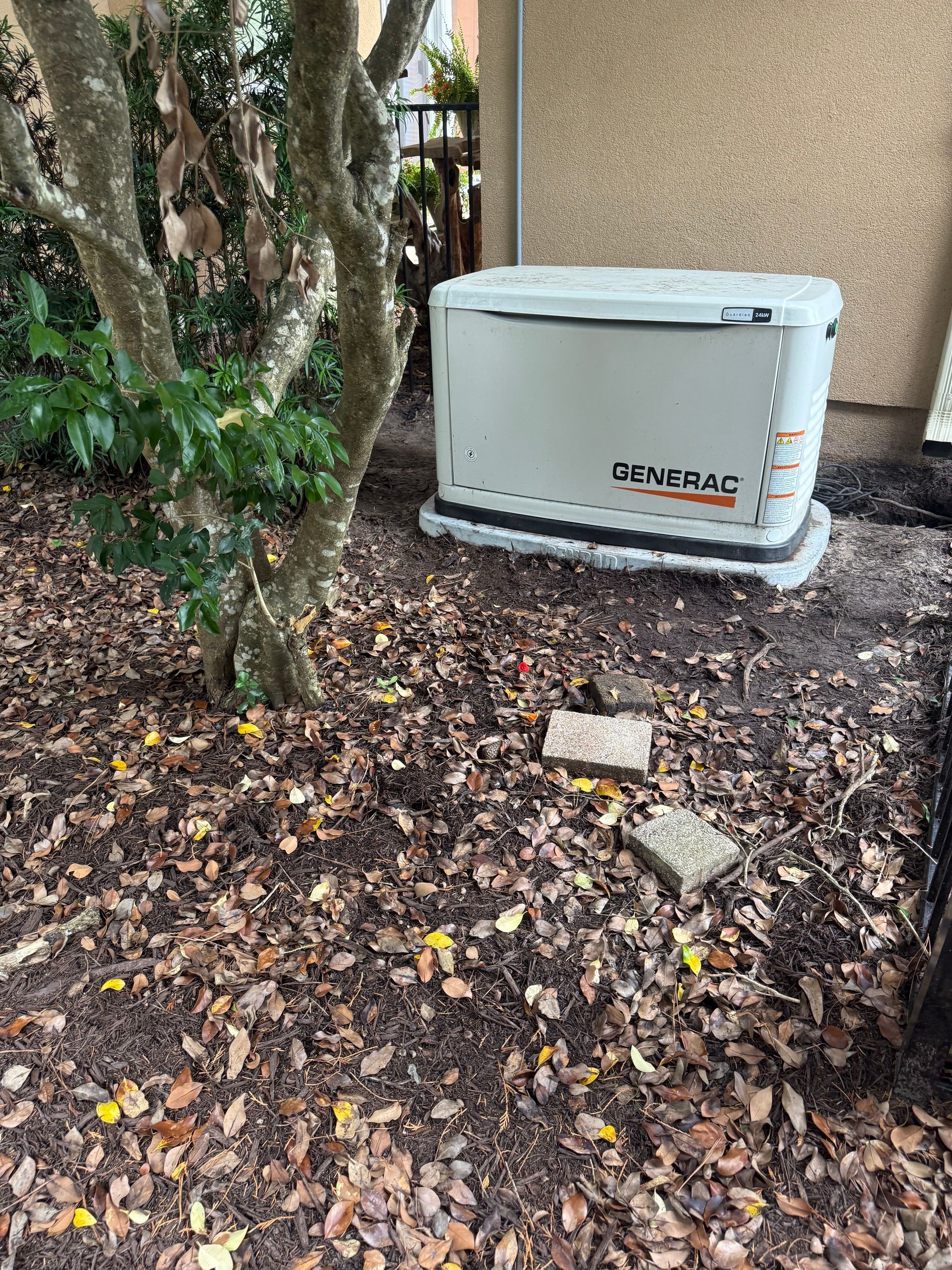 Gray generator box on a concrete pad in a grassy backyard with trees and a fence.