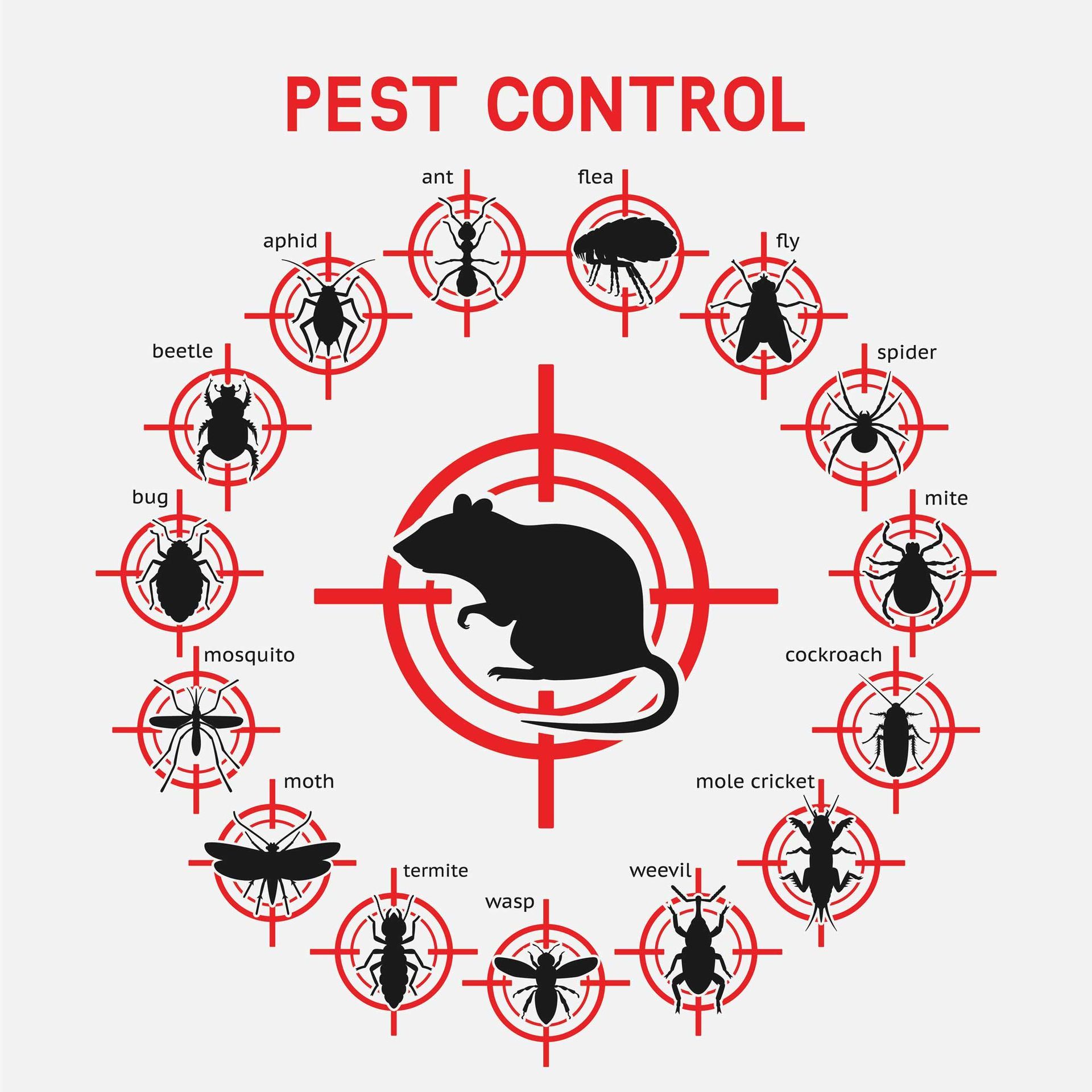 Red pest control graphic with a mouse target surrounded by labeled insect icons in a circle