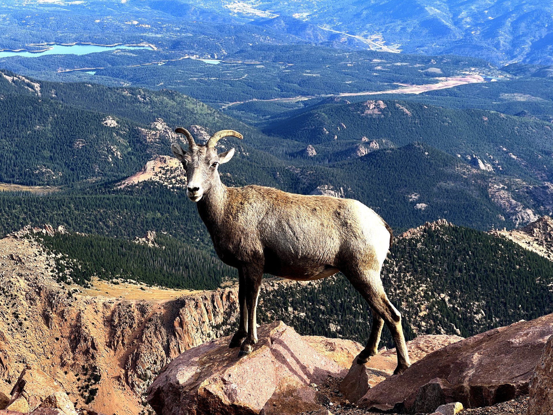 Pikes Peak