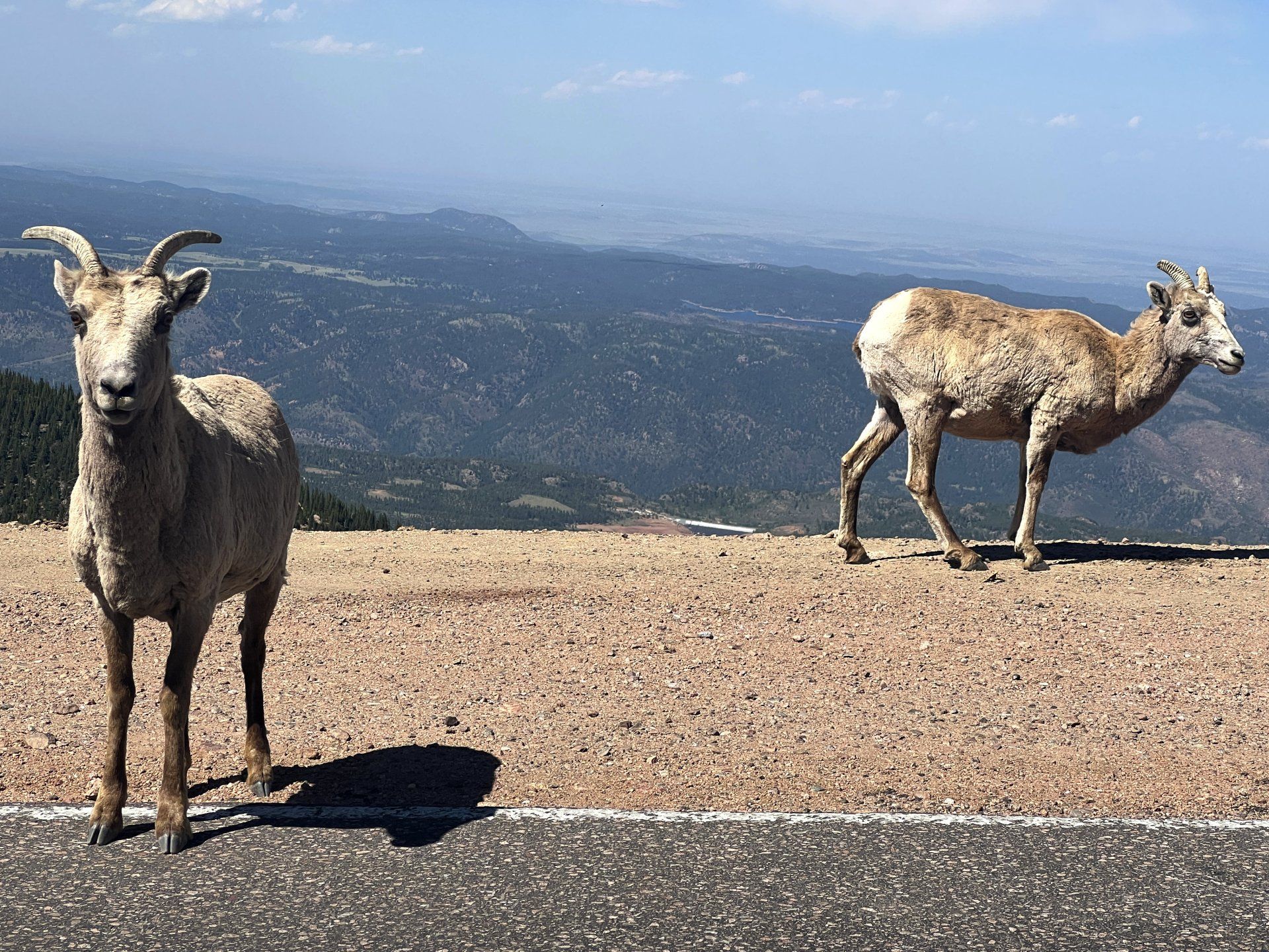 Pikes Peak