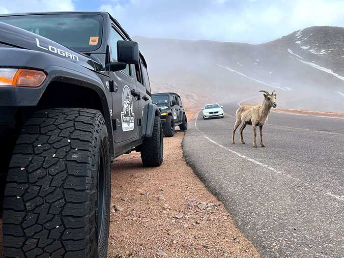 Pikes-Peak-Tour-Views