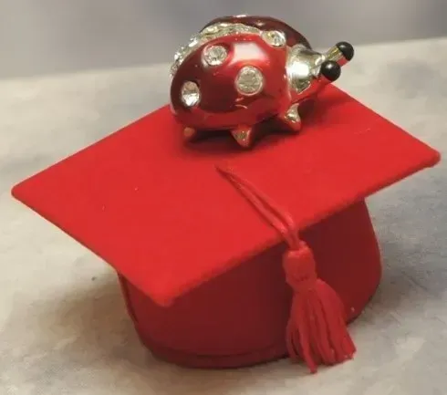Cappello da laurea rosso con nappa, sormontato da una statuetta scintillante di una coccinella.
