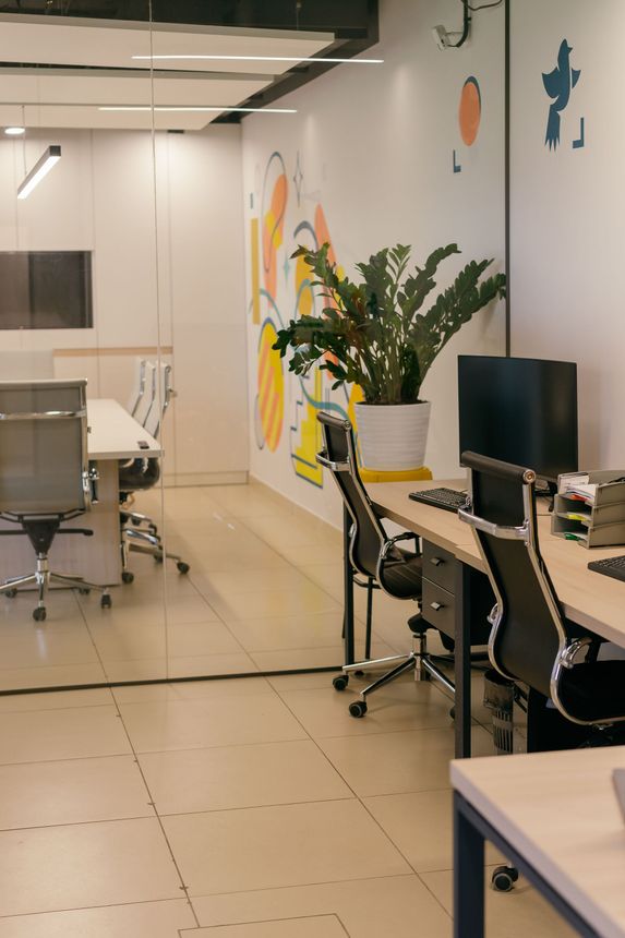 Modern office workspace with desks, computers, chairs, and a large potted plant along a glass wall