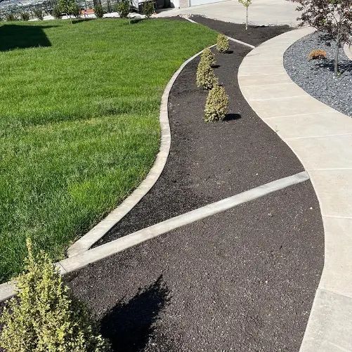 Curved sidewalk beside a green lawn and dark mulch landscape bed with small shrubs.