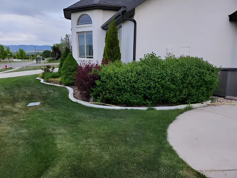 Suburban house exterior with manicured shrubs, green lawn, and a curved driveway