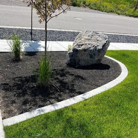 Curved landscaped bed with black mulch, small plants, and a large rock beside a sidewalk and road.