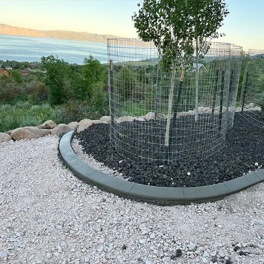 Circular garden bed with young tree and wire guard beside gravel path overlooking water at sunset