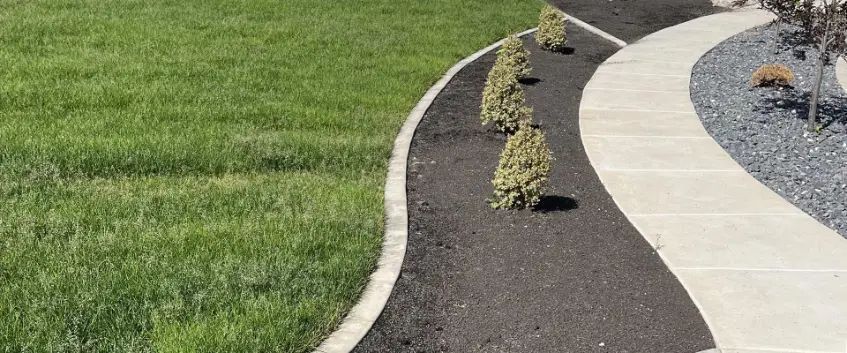 Curved landscaped walkway with black mulch, small shrubs, green lawn, and a light concrete path