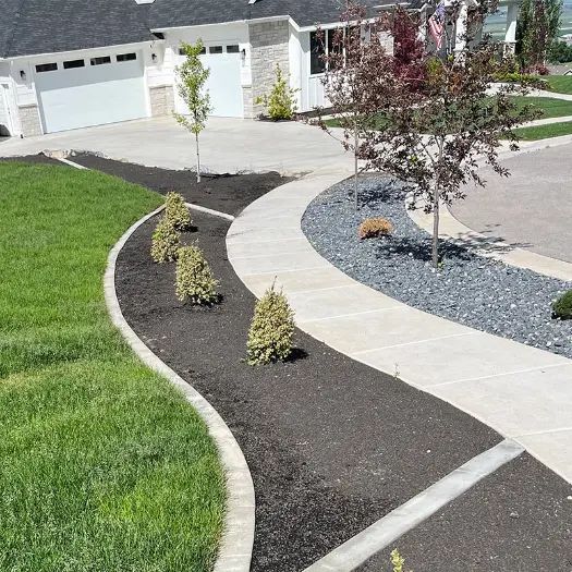 Curved front yard landscaping with mulch, grass, gravel, and young trees beside a driveway