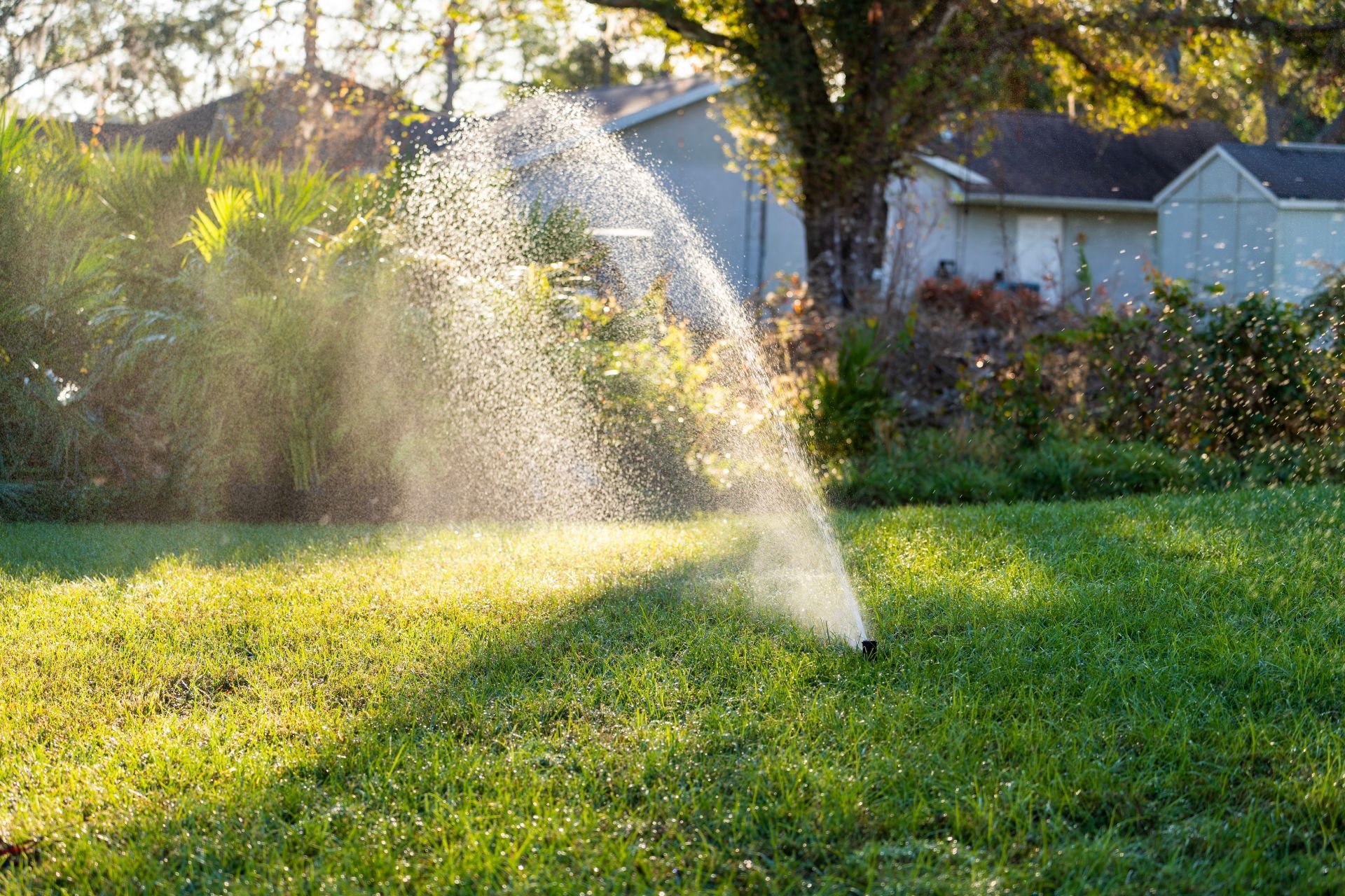 Sprinkler spraying water across a sunny green lawn in a suburban backyard