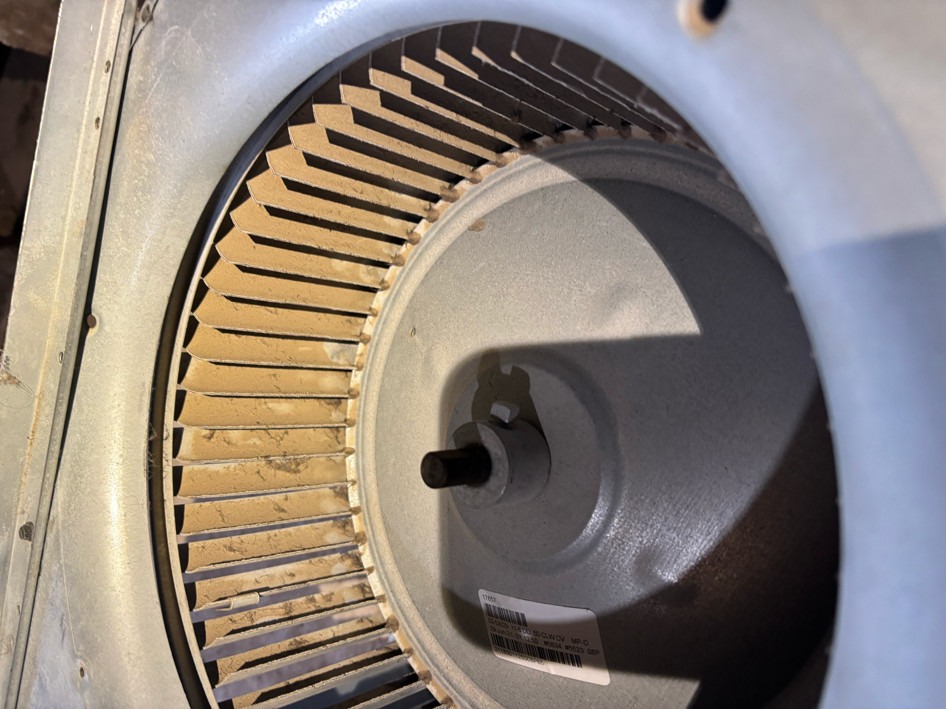 Close-up of a blower wheel with multiple blades inside a metallic housing, possibly for HVAC.