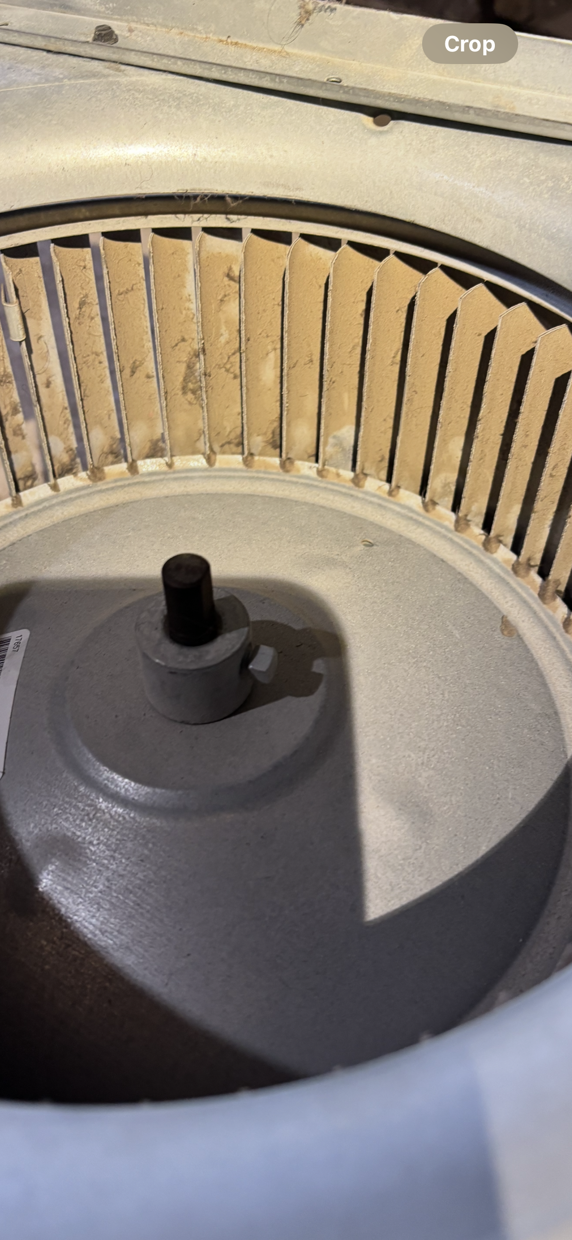 Close-up of a dusty blower fan with blades, a central motor shaft, and a light gray housing.