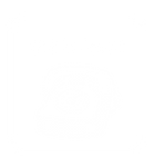 Mostly blank white image with a faint gray border at the bottom and right edges