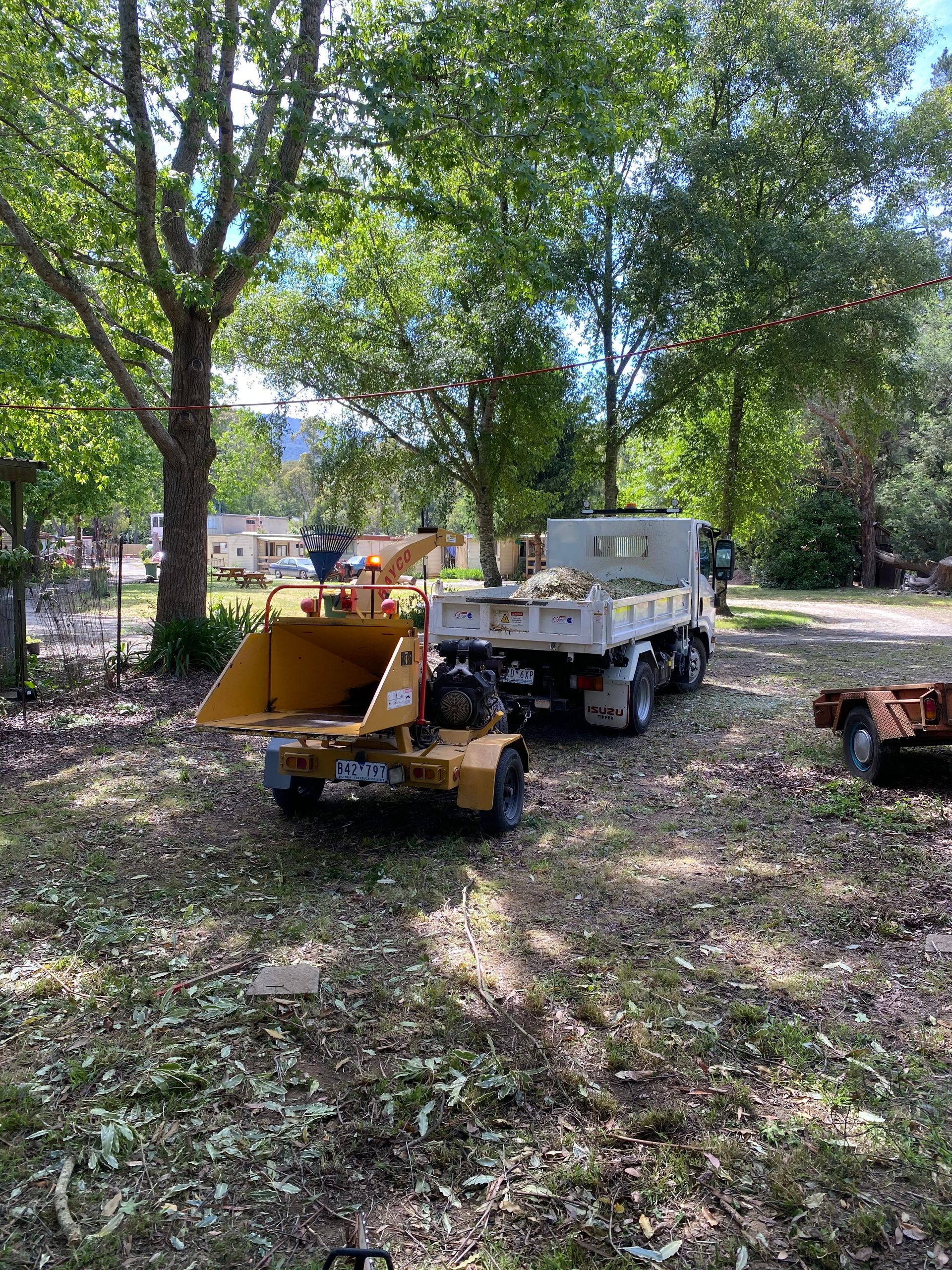 Experienced Tree Removal & Chainsaw Services | Lilydale, VIC