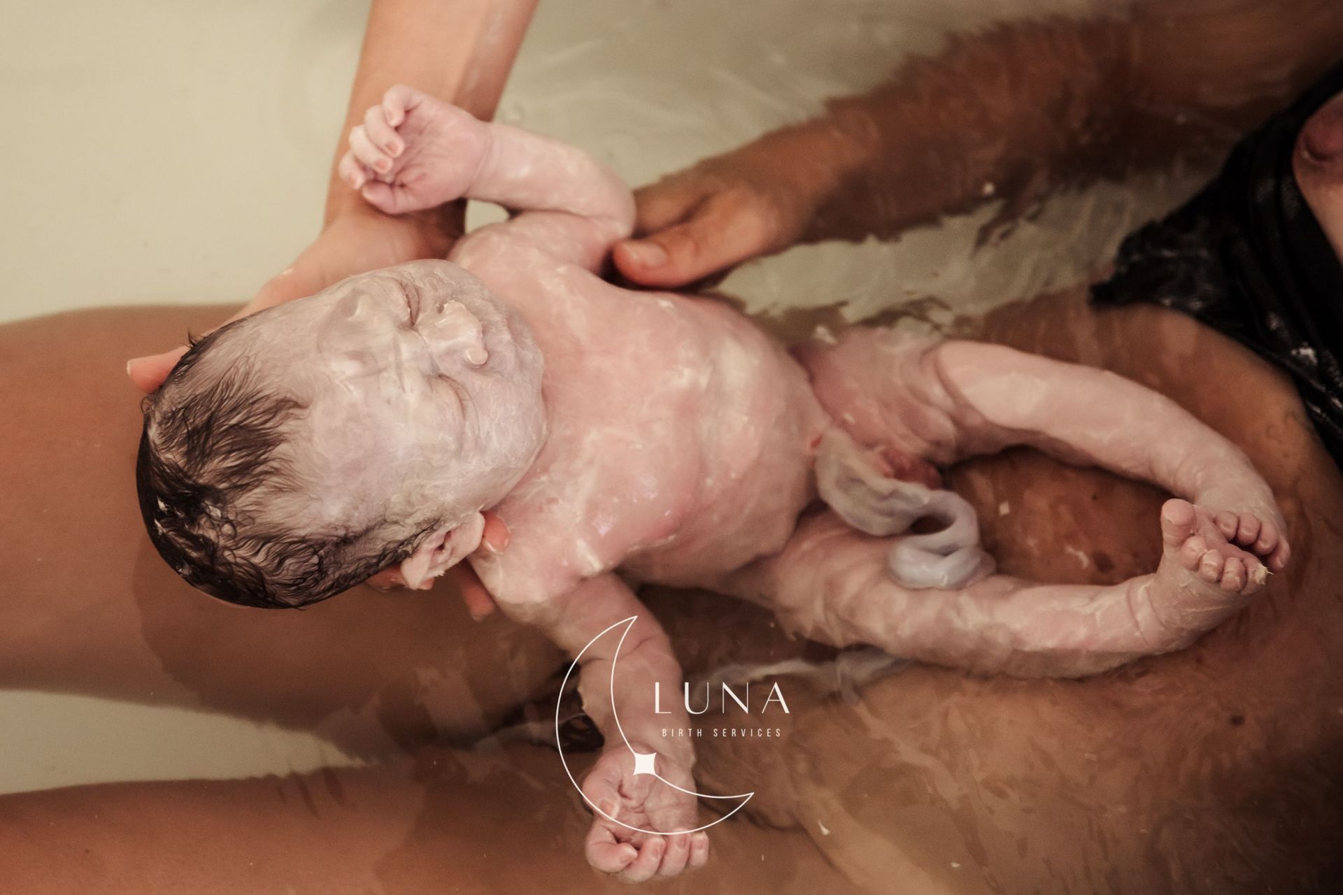 Un bebé recién nacido está siendo bañado en un lavabo, cubierto de espuma de jabón y sostenido por las manos de un adulto.