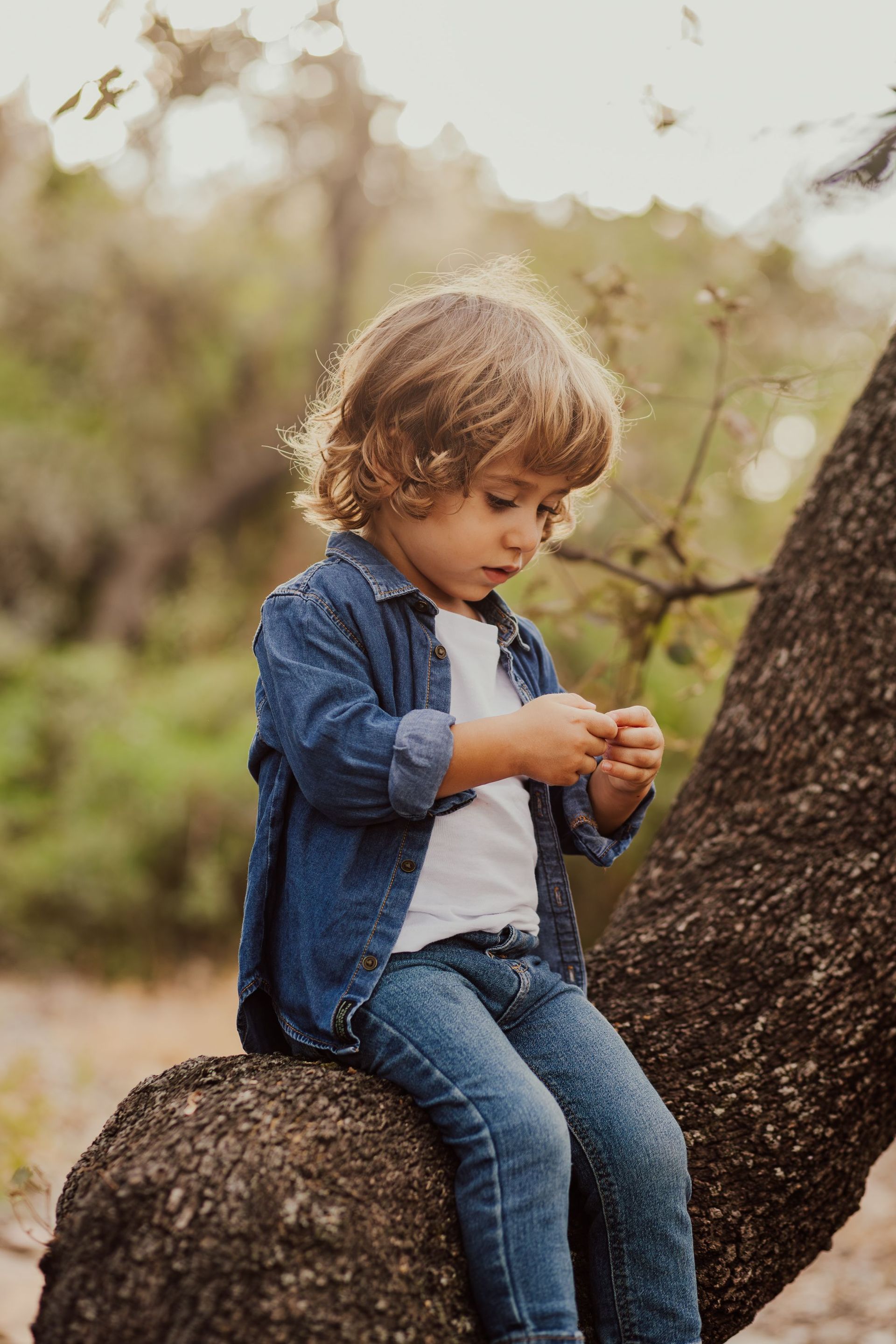 Un niño con camisa vaquera y pantalones vaqueros está sentado en la rama de un árbol