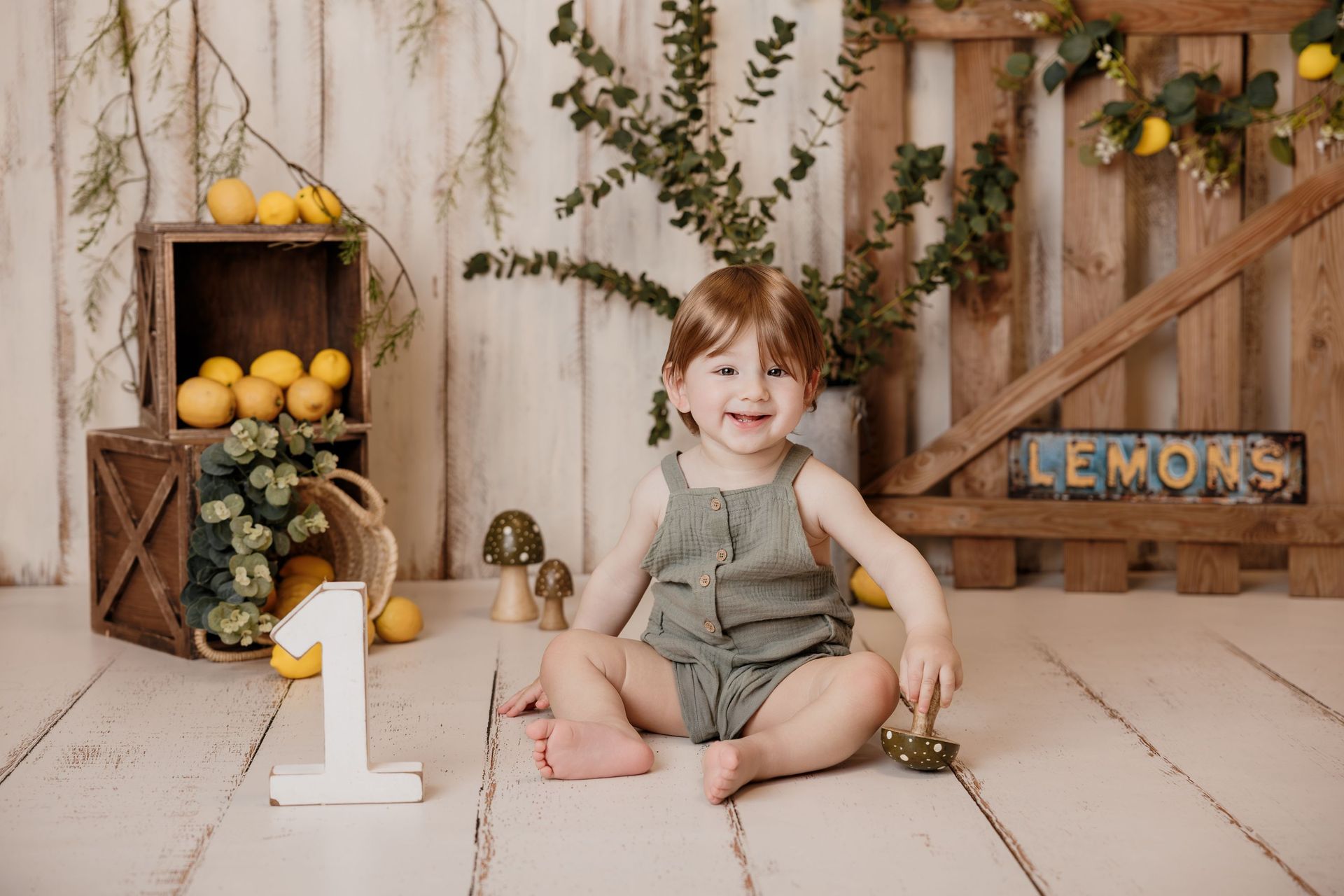 Niño sentado en un escenario fotográfico rústico temática de limones, con limones, vegetación y un accesorio con el número 1.