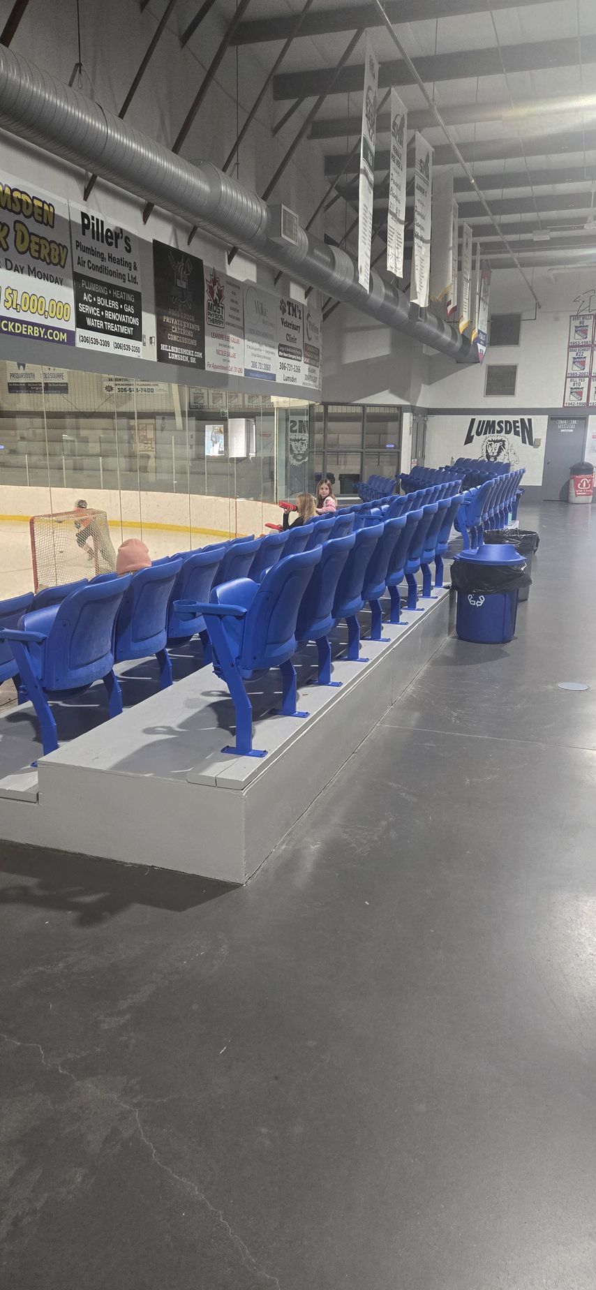 A row of blue chairs are lined up in a stadium.
