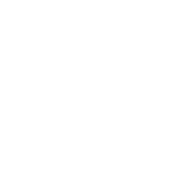 Logo Echo Motorgeräte