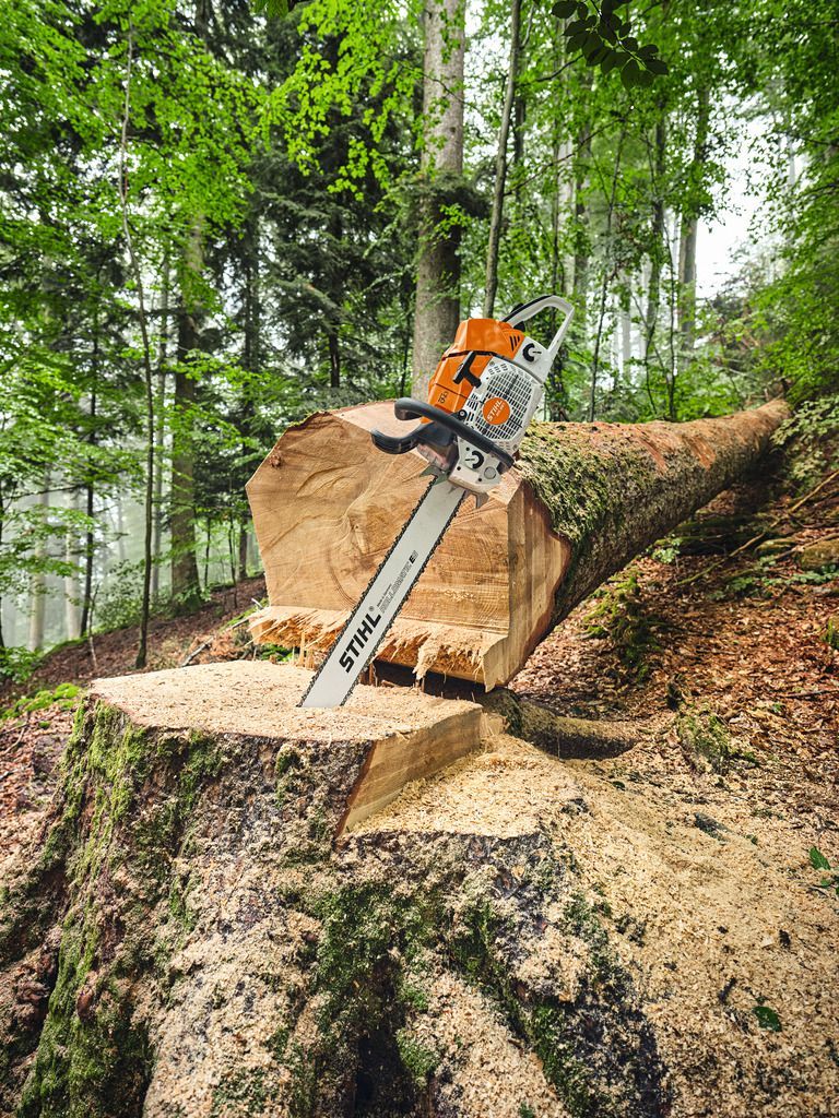 Kettensägen von Poppenberg Gartentechnik