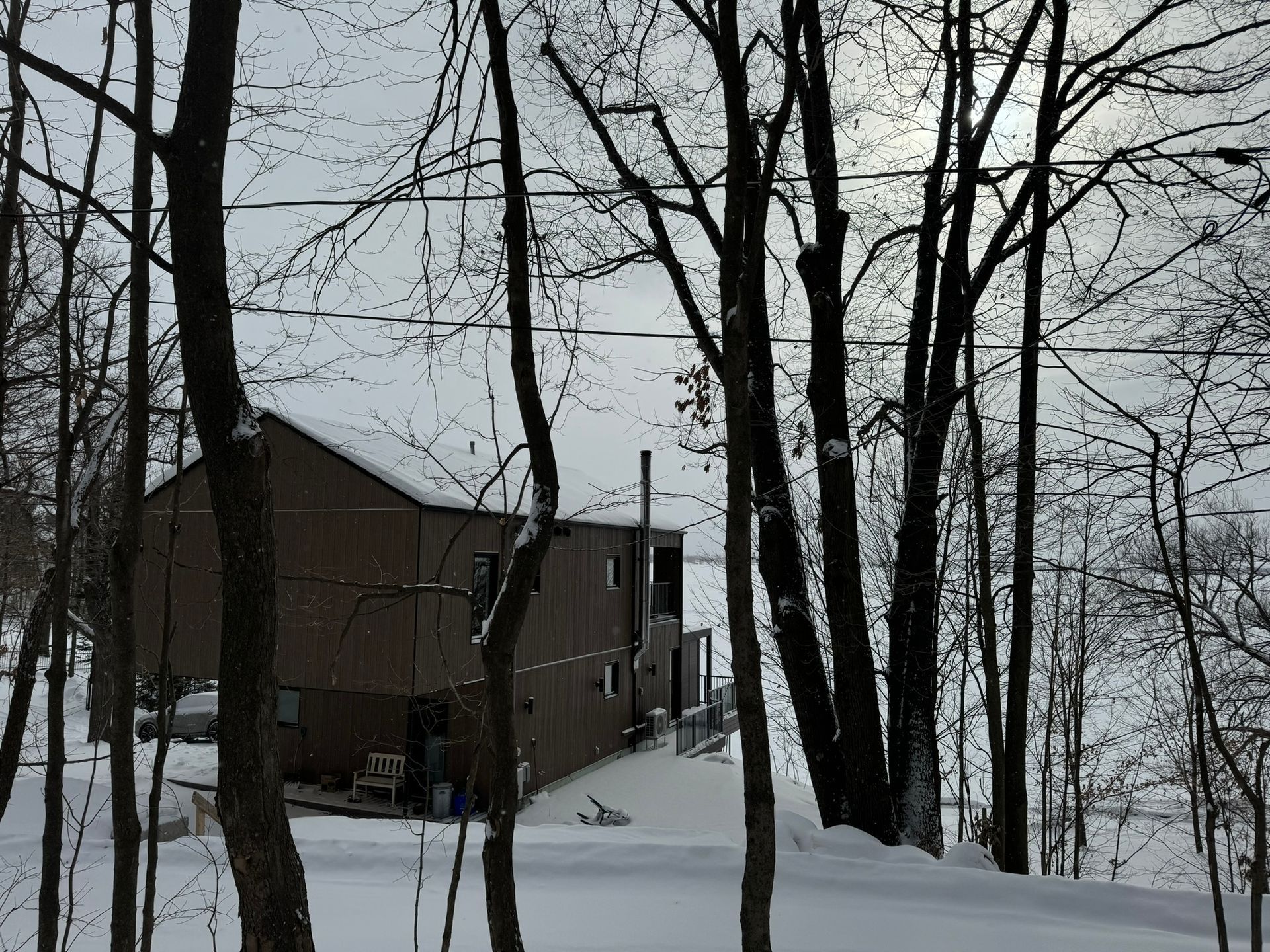 Maison brune à deux étages dans un bois enneigé, arbres dénudés au premier plan, ciel nuageux au-dessus.