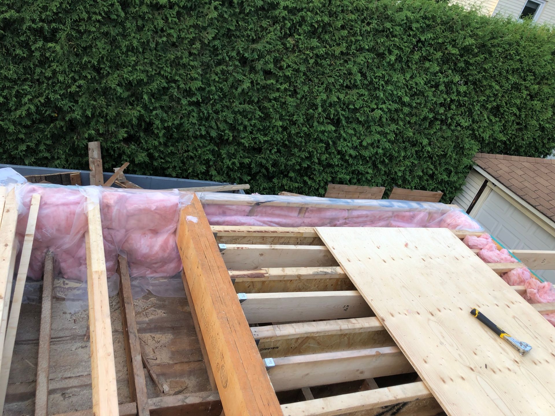 Construction de la toiture : charpente en bois, isolation, contreplaqué, haie verte en arrière-plan.