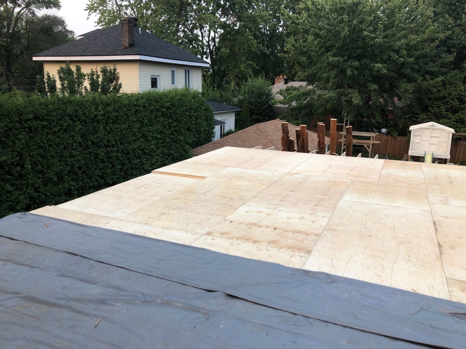 Toiture recouverte de panneaux de contreplaqué, une petite maison en arrière-plan et des arbres tout autour.