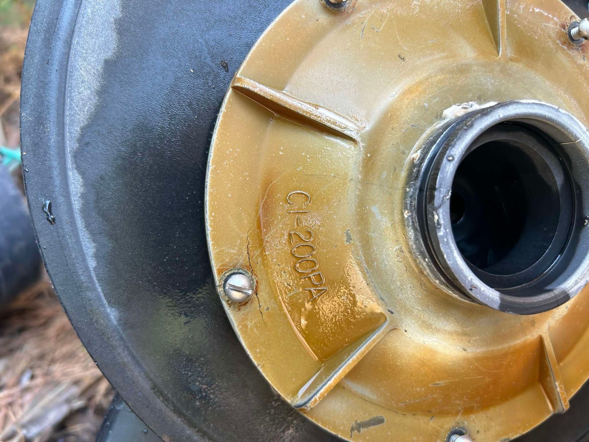 Close-up of a pump component, possibly from a pool system. The brass-colored part has a 