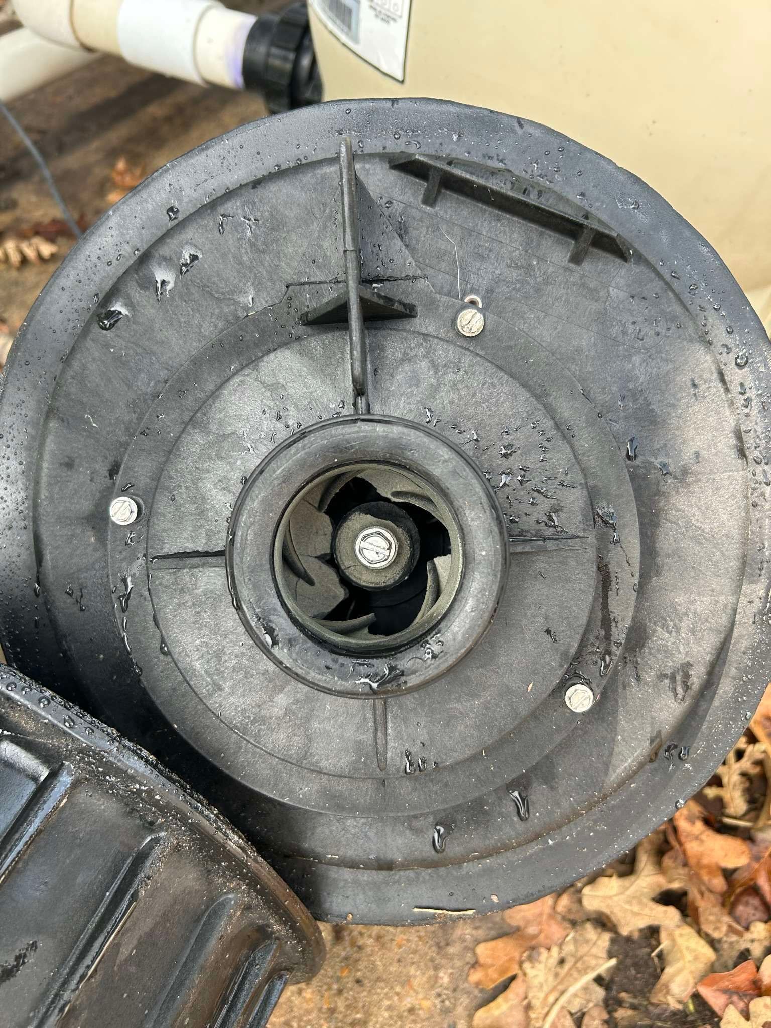 Black pool pump impeller, visible blades, surrounded by pump housing.