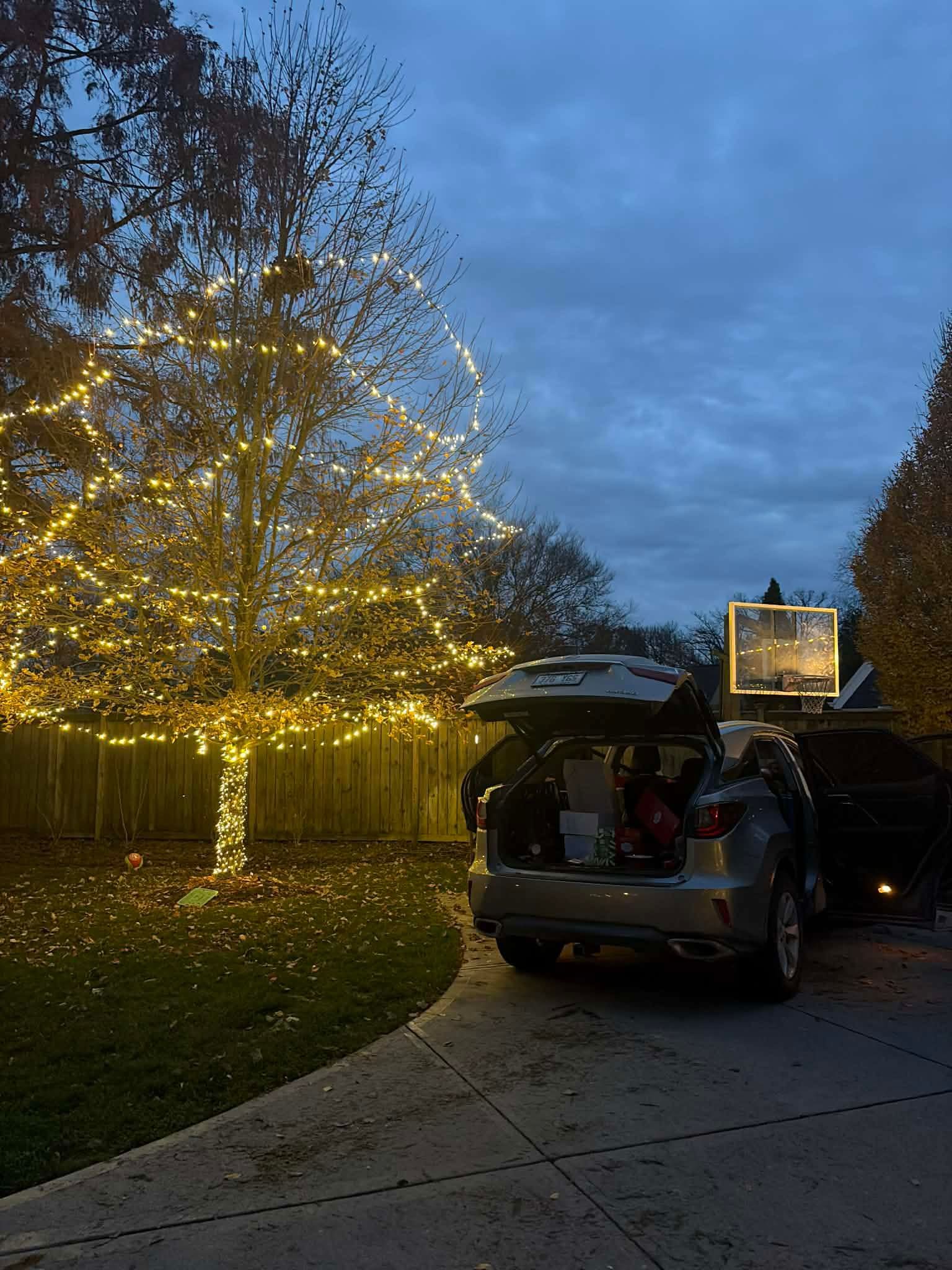 SUV with open trunk beside a lit-up tree at dusk in a driveway