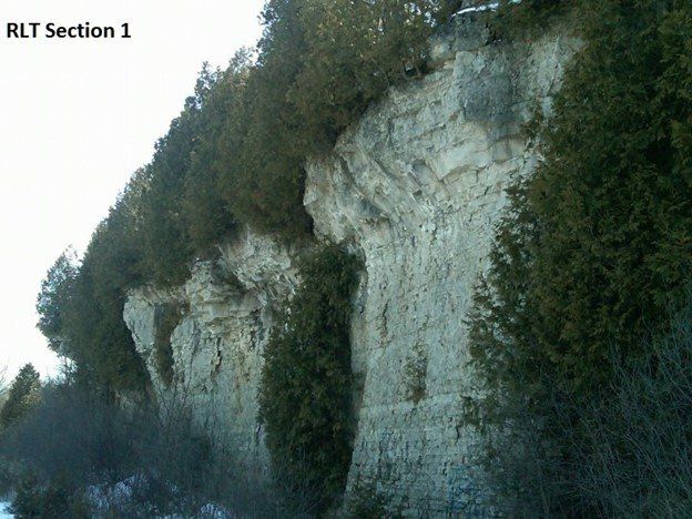 A picture containing tree on top of the gorgeous Rockside of Radial Line Trail