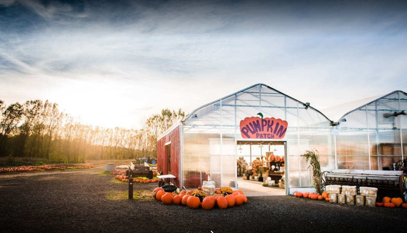 A green house with a sign that says 'Pumpkin Patch' at the top. There are also pumkin decorating the front.