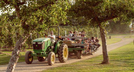 A John Deere tractor pulling a wagon full of people down a dirt road near the Niagara Escarpment