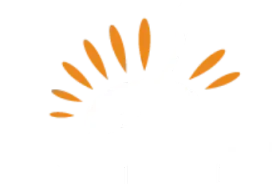 Amber Dental Amber Dental
