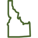 Local Lawn Care Experts