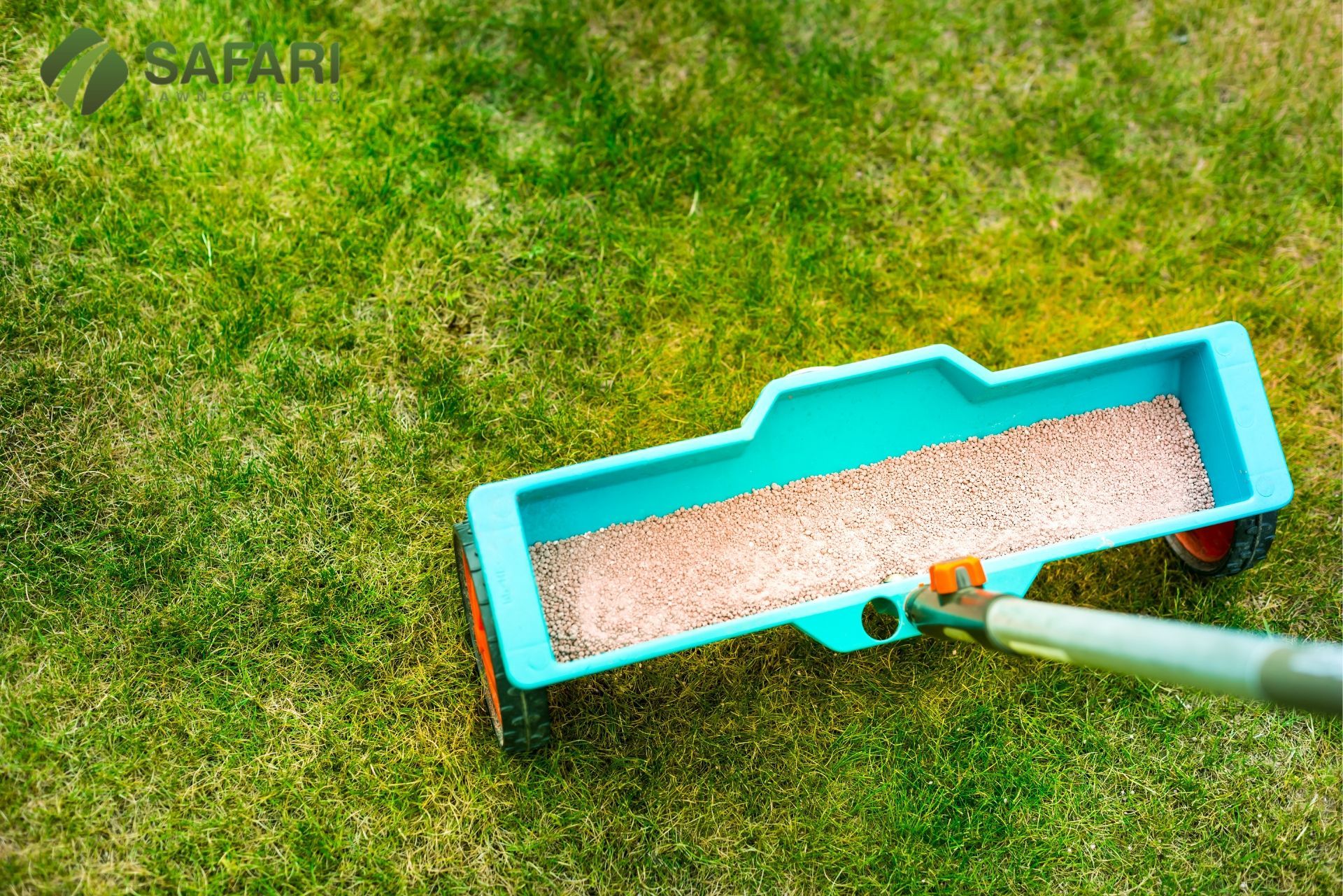 Fall DYI Lawn Fertilization in Boise - Safari Lawn Care