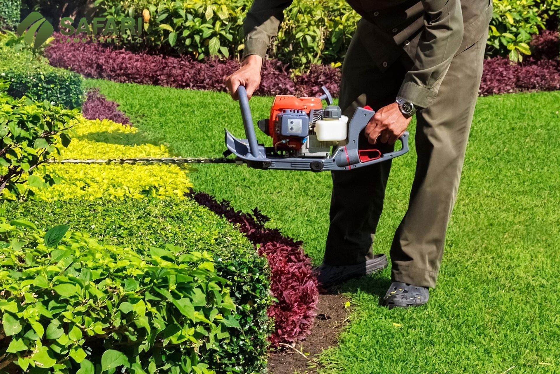 Hedge Trimming Boise