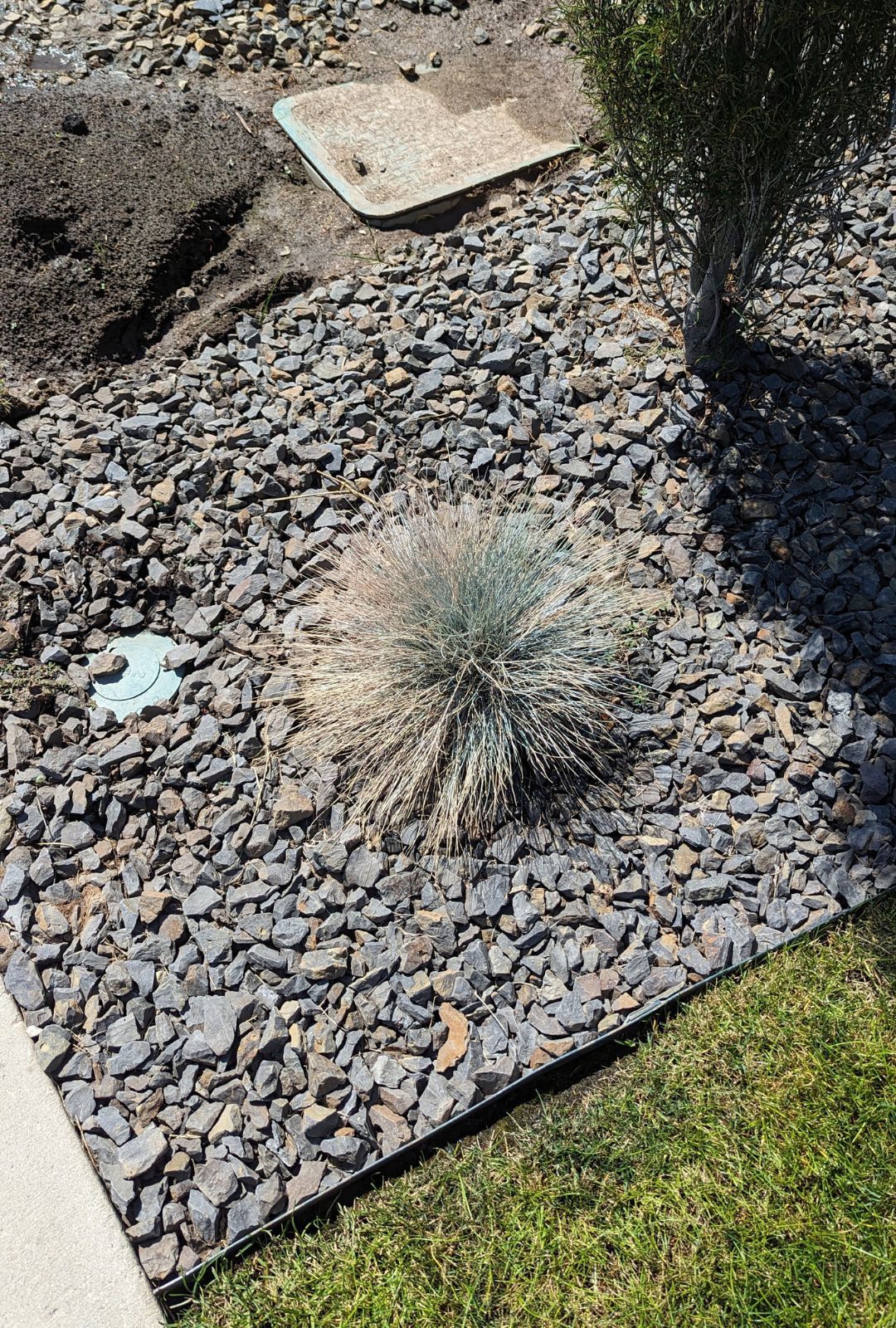 Landscaping Services in Boise Idaho