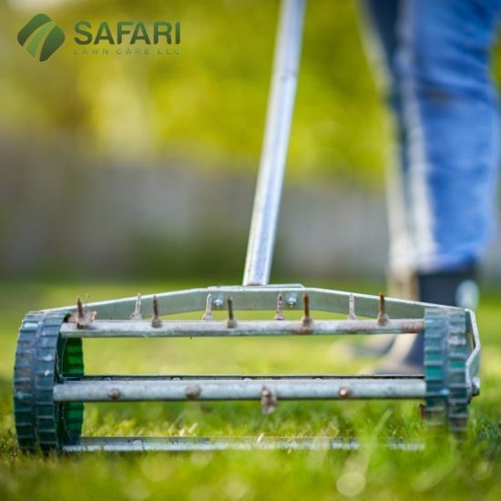 Lawn Aeration Service Boise - Safari Lawn Care