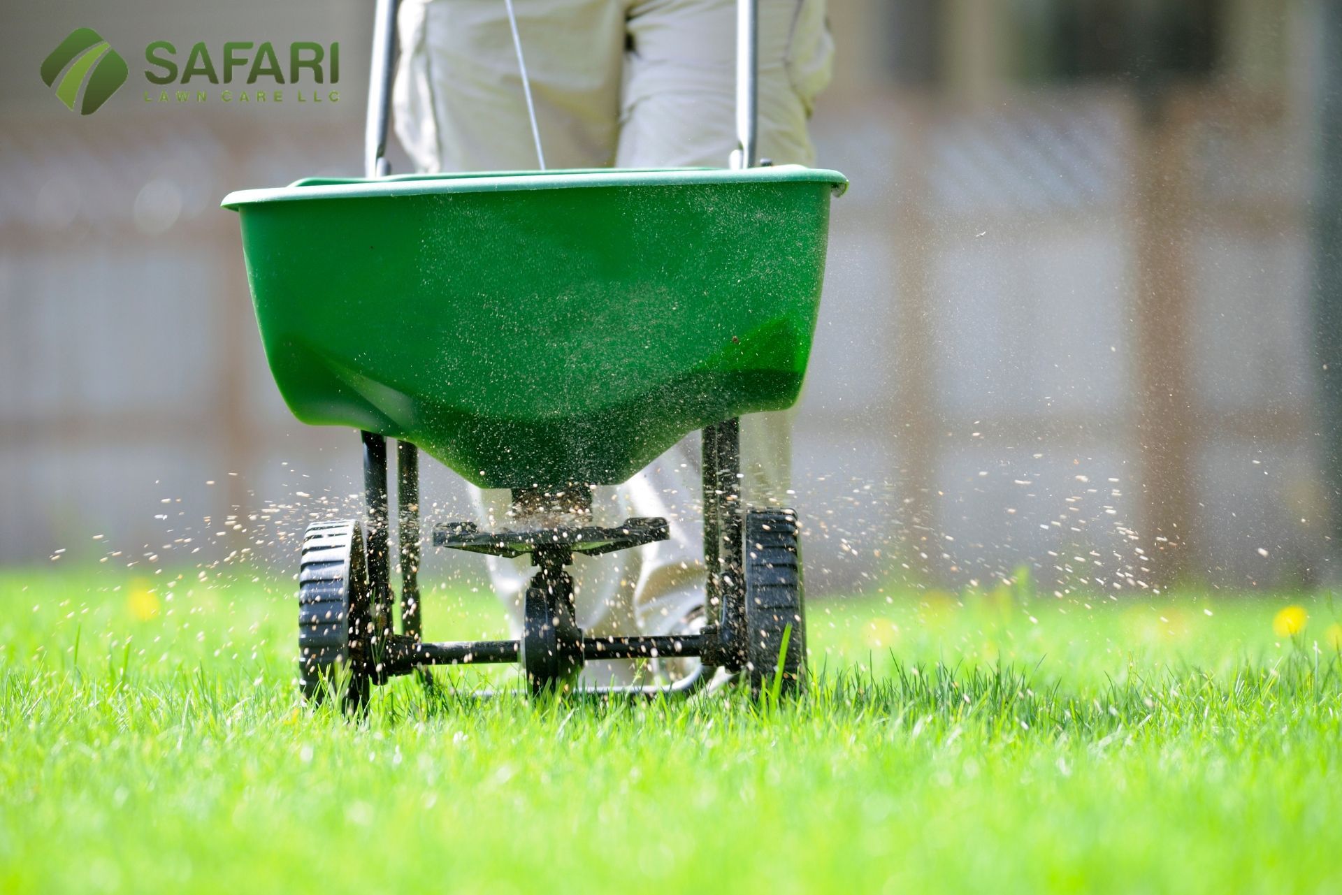 Lawn Fertilization Services in Boise Idaho - Safari Lawn Care