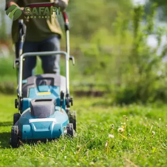 Safari Lawn Care Services in Boise Idaho