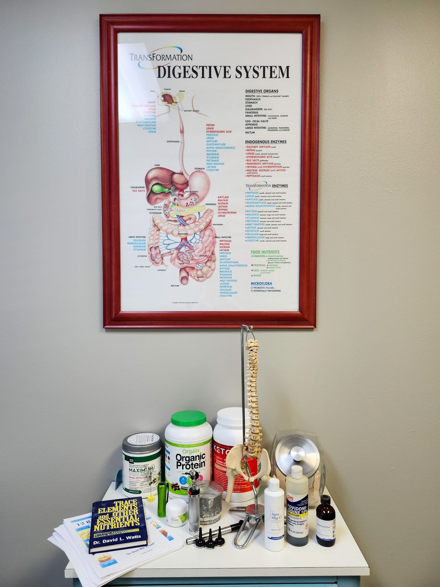 A table with a picture of the human digestive system on it.